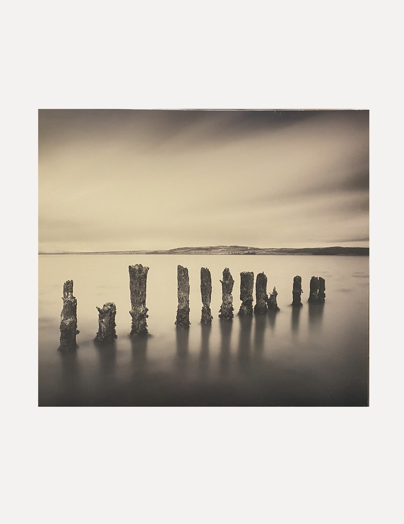 "Weathered Timbers in the Mist"