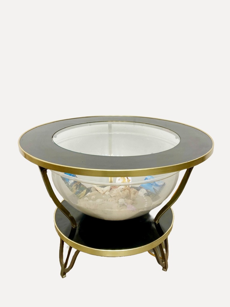 Coastal-Inspired Aquarium Coffee Table